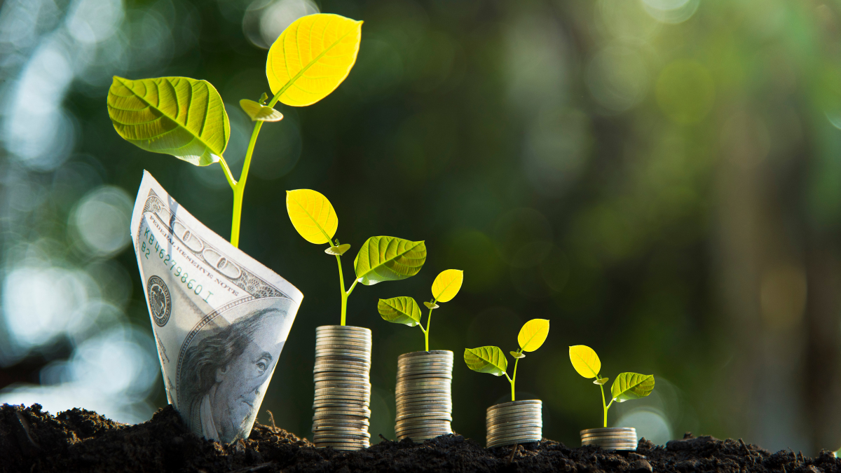Best Finance and Money Strategies for Financial Freedom in 2026